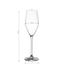 Pohár na šampanské 170 ml 6 ks – Optima Glas Lunasol - 322821
