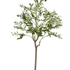 Mondex Since 1986R Umělý strom OLIVES 140 cm zelený