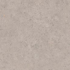 Dlažba Pastorelli Biophilic grey 60x60 cm mat P009459