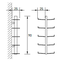 Radius design cologne Dřevník 10 poliček RADIUS DESIGN (WOODEN TREE WALL SMALL 729A) černá