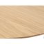 Rozkladací jedálenský stôl s doskou v dubovom dekore v prírodnej farbe 100x190 cm Gallina – Unique Furniture