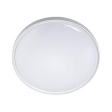 LED Stropné svietidlo LED/36W/230V pr. 40 cm biela