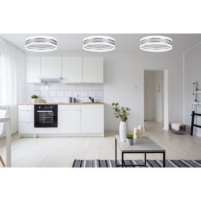 LED Stmievateľné stropné svietidlo SMART CORAL LED/24W/230V biela/strieborná + DO