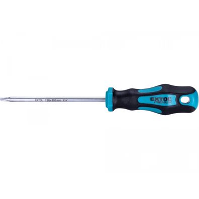Skrutkovač TORX, TTa20x100mm, CrV