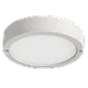 Stropné svietidlá