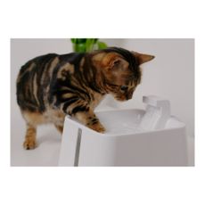 Fontána pre domáceho maznáčika Epic Pet Zen – Plaček Pet Products