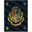Fleecová deka Harry Potter s erbom školy čarodejníckej na Rokforte - Polar Fleece - 100 x 140 cm