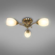 Luster  CL16173-3 PL3