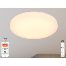 LED Stmievateľné stropné svietidlo OPAL LED/48W/230V Wi-Fi Tuya + DO
