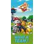 Detská osuška PAW PATROL team 70X140cm Setino