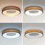 Brilagi - LED Stmievateľné stropné svietidlo DORIA LED/48W/230V 3000-6500K + DO