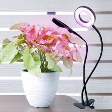 LED stolná lampa s klipom pre pestovanie VITARO 2xLED/4W/230V čierna