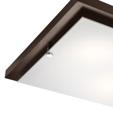 Stropné svietidlo 2xE27/60W/230V