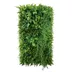 Vertical garden Wild Green