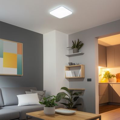 Brilagi - LED Stmievateľné stropné svietidlo SMART LED/28W/230V Wi-Fi Tuya + DO