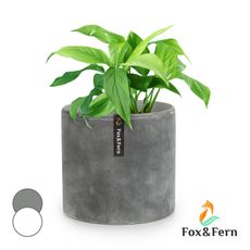 Fox & Fern Venlo, kvetináč, Polystone, interiér a exteriér, 3 veľkosti