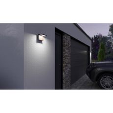 LED Vonkajšie svietidlo so senzorom NATURA LED/12W/230V 4000K IP54 hnedá/antracit
