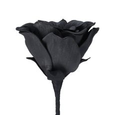 Eglo 428131 - Umelý kvet MOLAVE 65 cm čierna