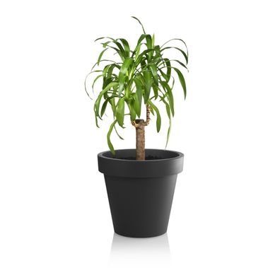 Gardenico Kvetináč Metro Twist 'n' Roll antracit, 29 x 26,5 cm, 29 cm