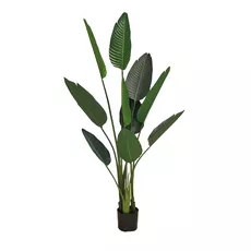 Artificial pot plant Strelicja 155cm