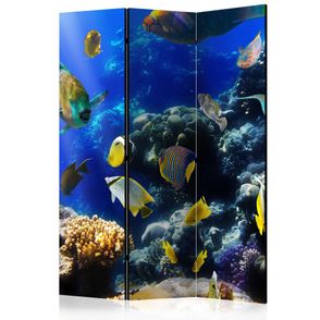 Paraván Underwater adventure Dekorhome 135x172 cm (3-dielny)