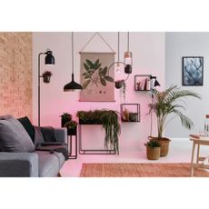 LED Žiarovka na rast rastlín GROW ZELENÁ R50 E14/4W/230V - Paulmann 28734