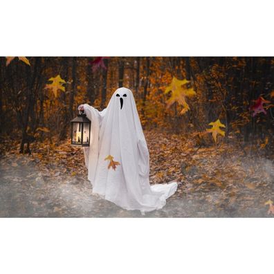 Retlux - LED Dekorácia HALLOWEEN LED/3xAAA/teplá biela lucerna