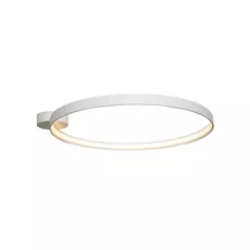 Moderná LED stropná lampa Circle 55 biele