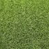 Artificial grass specialists AKCIA: 110x190 cm Umelá tráva Rosalia metrážna - Rozmer na mieru cm