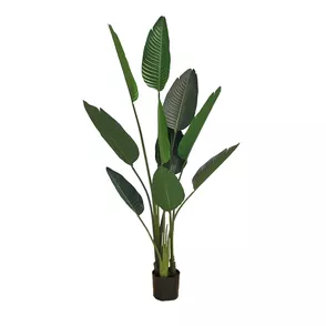 Artificial pot plant Strelicja 155cm