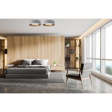 LED Stropné svietidlo SMART GALAXY LED/36W/230V Wi-Fi Tuya šedá/zlatá + DO