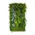 Vertical garden Alpine