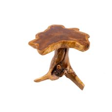 Estila Vidiecky nepravidelný hnedý príručný stolík Root z masívneho dreva s prírodnou nohou z kmeňa a lakovaným povrchom 40 cm