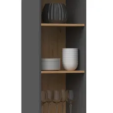 TP Living Knižnica R40 antracit/dub artisan