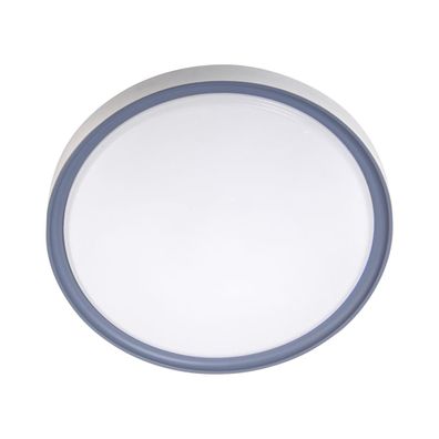 LED Stropné svietidlo LED/36W/230V pr. 40 cm biela/šedá