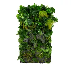 Vertical garden Rocky Cliff