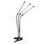 Brilagi-LED Stmiev. lampa s klipom na pestovanie rastlín VITABLOOM 3xLED/10W/230V
