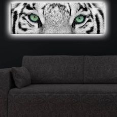 Hanah Home Obraz s led osvetlením White Tiger 90x30 cm