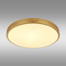 Stropná lampa Tibey 12381-22 LED PL1