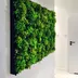 Vertical garden Moss Mesh