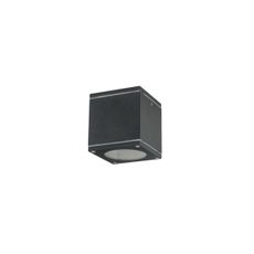 Vonkajšie stropné svietidlo QUAZAR 1xGU10/20W/230V IP44