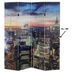 Designový LED paraván NEW YORK 200x180 cm (5-dielny)