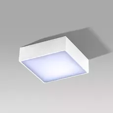 LED bodové svetlo Falco 12 3000K biele