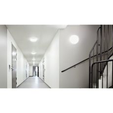 Steinel 079710 - SADA 5x LED Svietidlo so senzorom RS PRO S30 SC 25,7W/230V 4000K