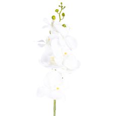 Umelá Orchidea čisto biela, 86 cm