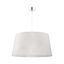 Duolla - Luster na lanku TENOR 1xE27/40W/230V pr. 60 cm biela/listy