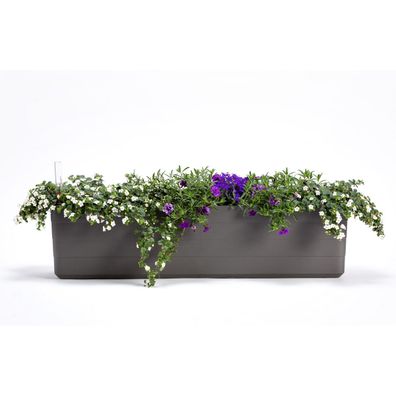 Plastia Samozavlažovací truhlík Berberis 80, antracit + zelená, 80 cm