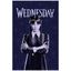 Polar fleece deka Wednesday - 100 x 150 cm