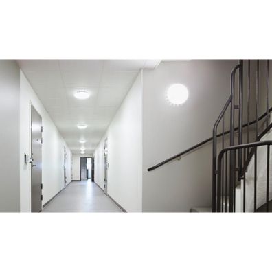 Steinel 081942 - SADA 5x LED Svietidlo so senzorom RS PRO S20 SC 15,7W/230V 4000K