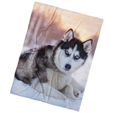 BedTex Deka mikroplyš Pes Sibírsky Husky, 150 x 200 cm